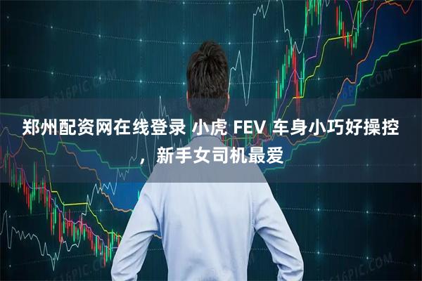 郑州配资网在线登录 小虎 FEV 车身小巧好操控,新手女司机最爱