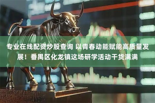 专业在线配资炒股查询 以青春动能赋能高质量发展！番禺区化龙镇这场研学活动干货满满